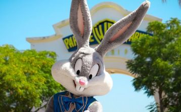 Entrada + Bus al Parque Warner