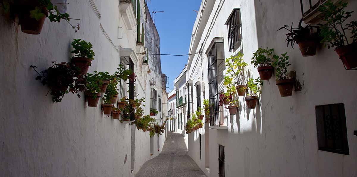 Excursión a Pueblos Blancos
