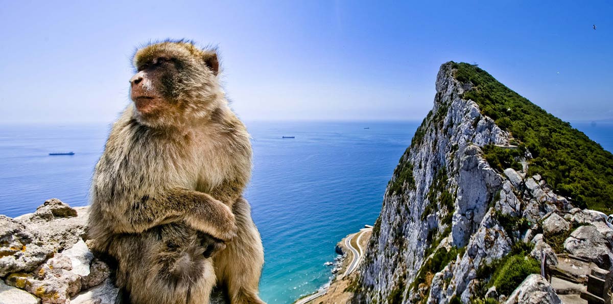 Gibraltar Day Trip