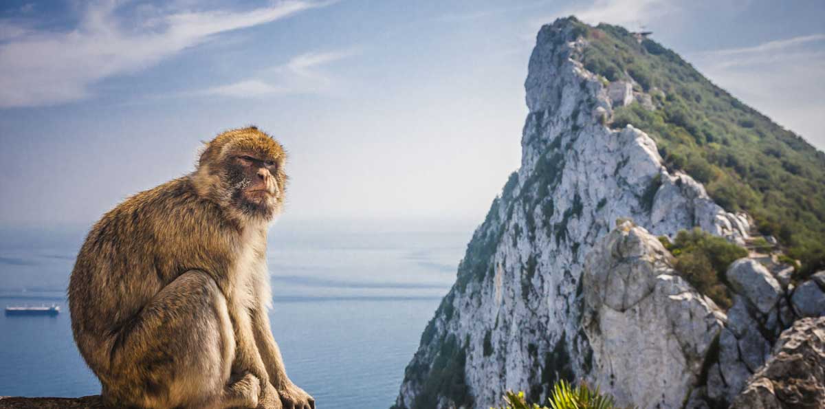 Excursión privada a Gibraltar