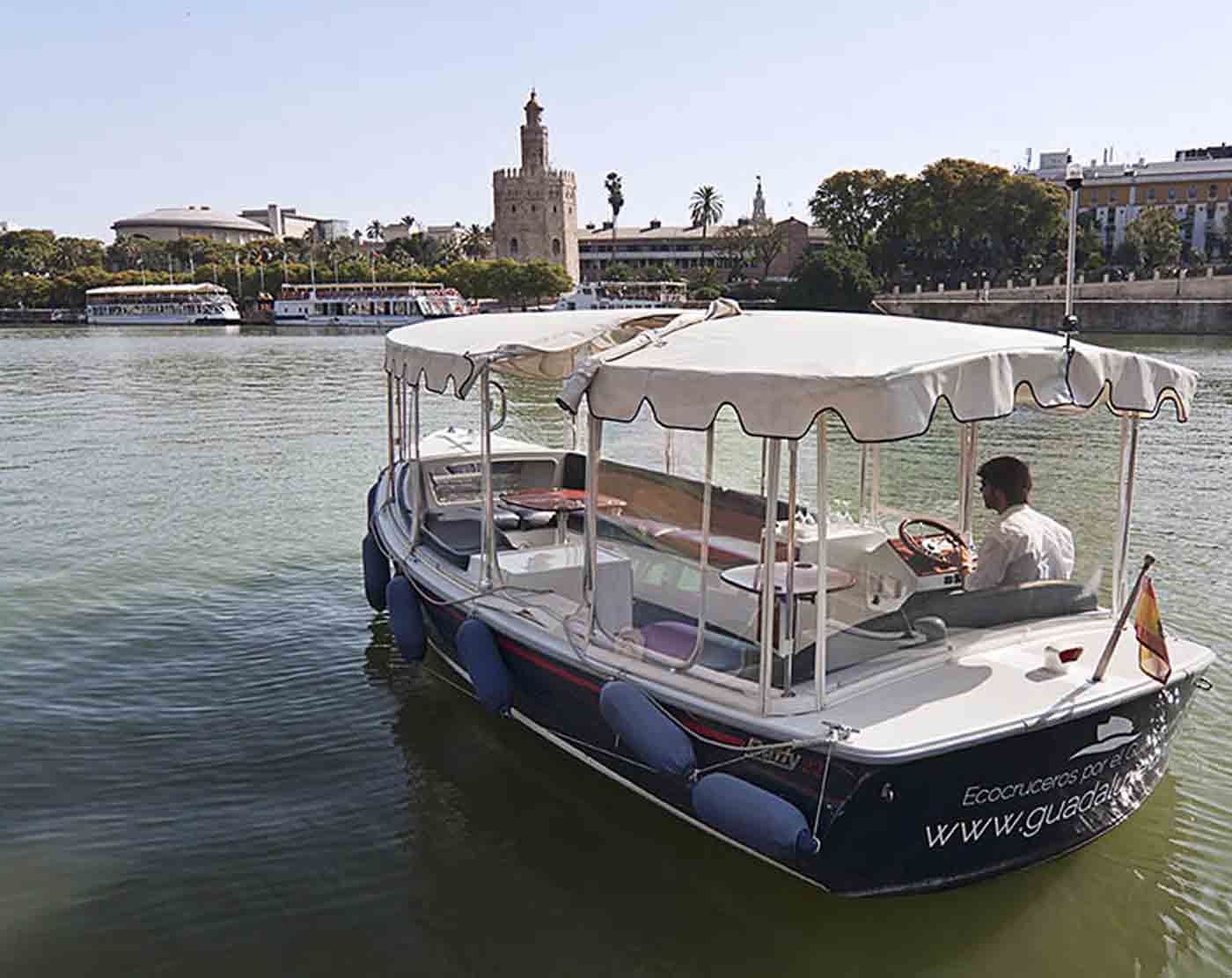 Visita guiada por Plaza de España y Parque de María Luisa