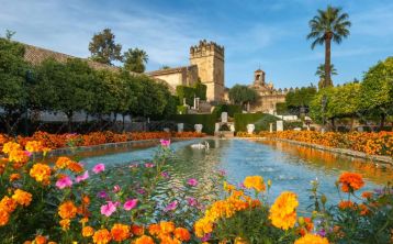Excursión a Córdoba desde Granada