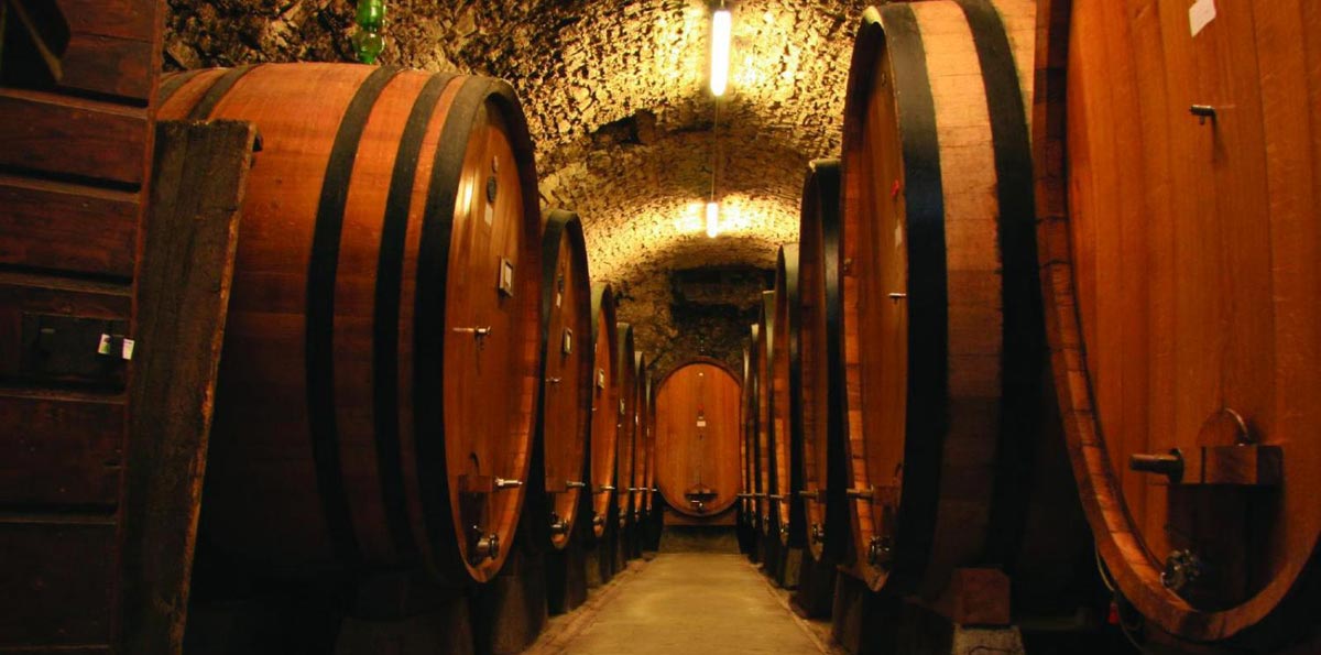 Chianti Half Day Tour from Florence