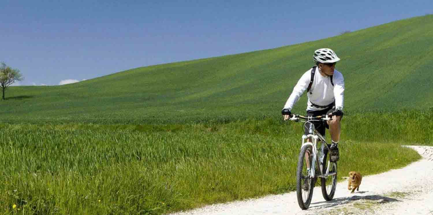 Tour en bicicleta por la Toscana