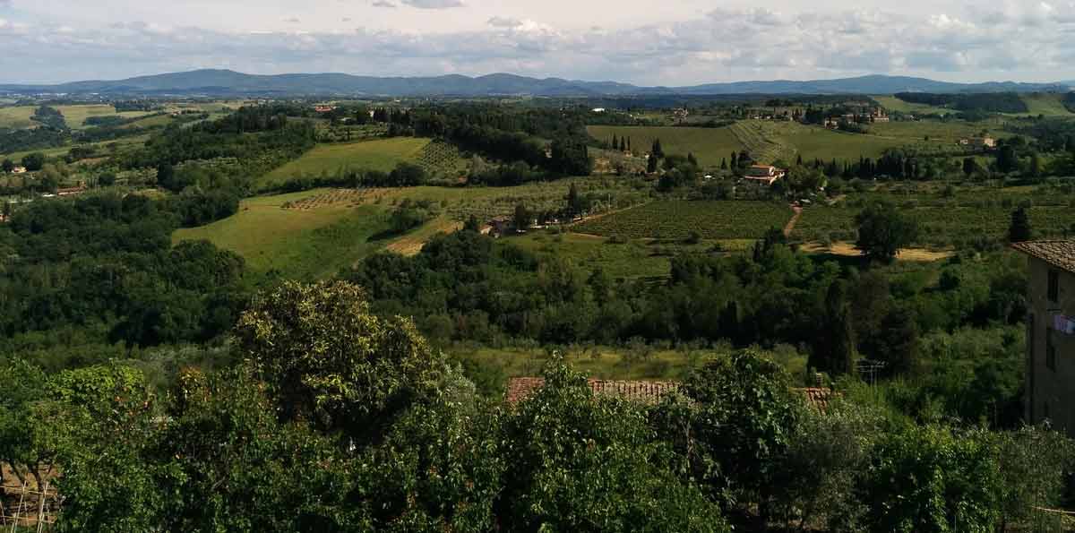 Florence Tour and Chianti Valley from Pisa