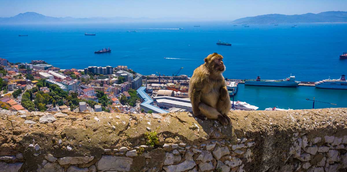 Gibraltar Day Trip from Malaga