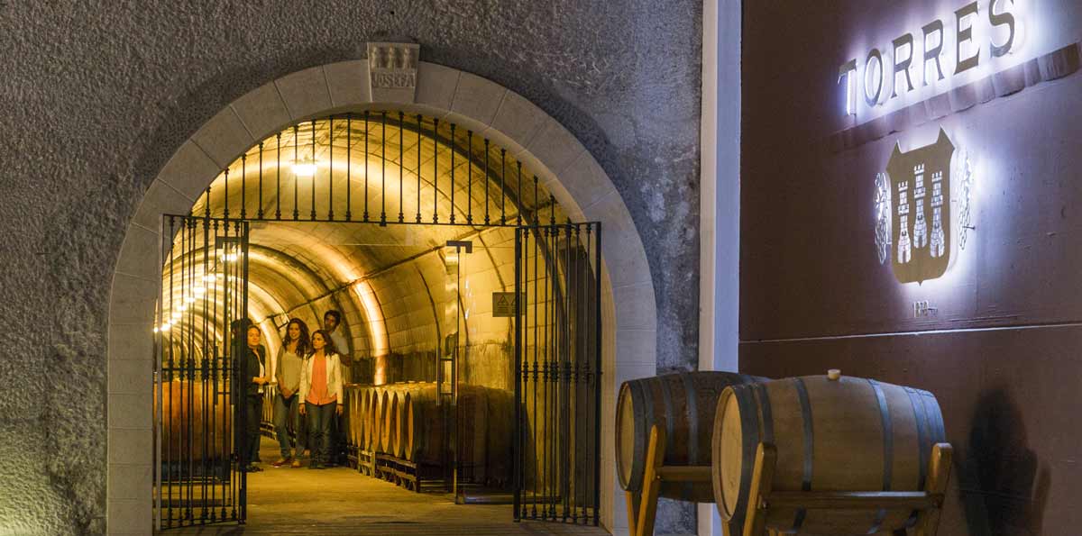 Tour VIP de vino y cava en grupo reducido desde Barcelona