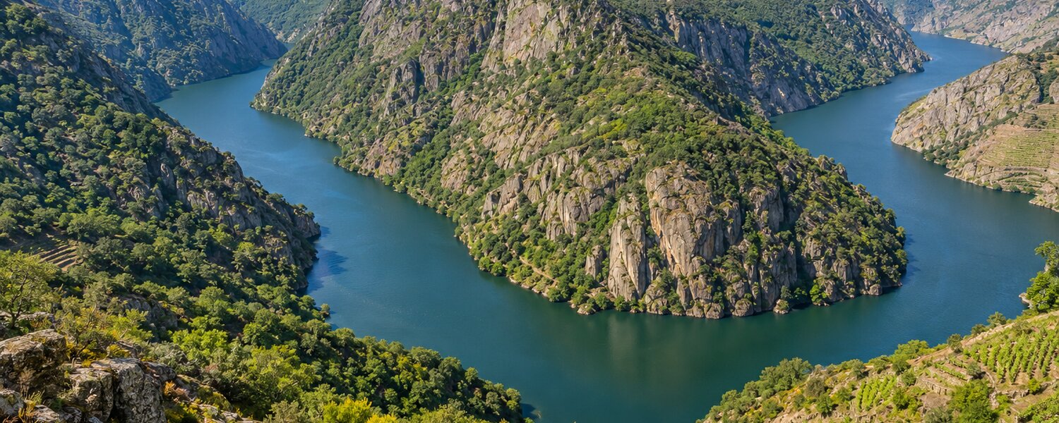 Paisaje de los Cañones del Sil en la Ribeira Sacra, con laderas y viñedos.