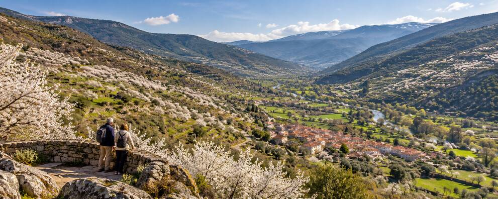Escena ilustrativa del Valle del Jerte con cerezos en flor y viajeros contemplando el paisaje