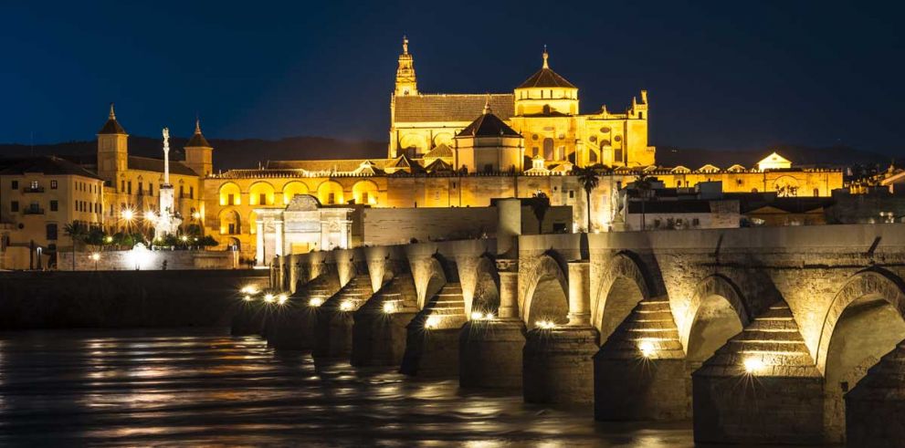 Córdoba Walking Tour  by Night with tapa and drink