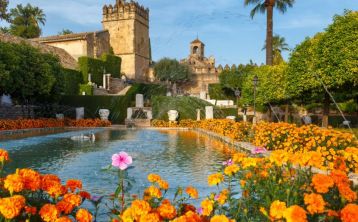 Tour por la Mezquita y el Alcázar