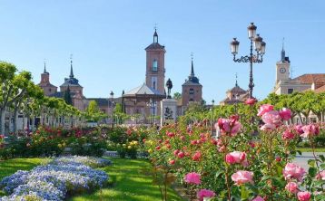 Free Tour por Alcalá de Henares