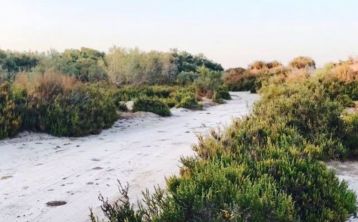 Tour en 4x4 por las salinas y humedales