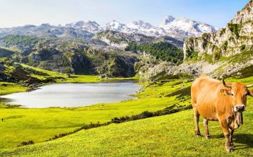Excursión a los Lagos de Covadonga en 4x4