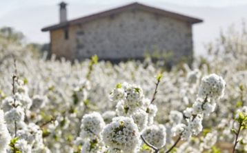 Excursión por el Valle del Jerte en 4x4