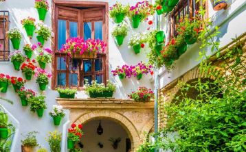 Free Tour Patios de Córdoba