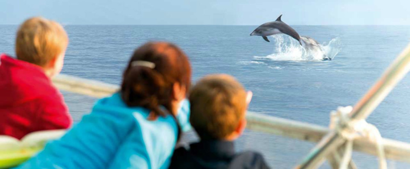 Sunrise Boat Tour with Dolphin Watching