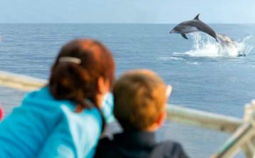 Sunrise Boat Tour with Dolphin Watching