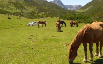 Ruta en 4x4 por el Lago Curavacas