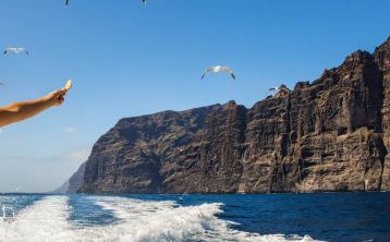 Excursión en barco en Los Gigantes Excursión en barco en Los Gigantes
