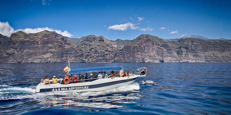 Whale watching in Los Gigantes