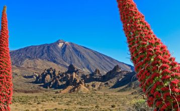 Mount Teide half day tour