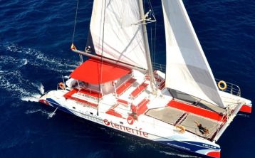 Tour en catamarán con avistamiento y escucha de cetáceos