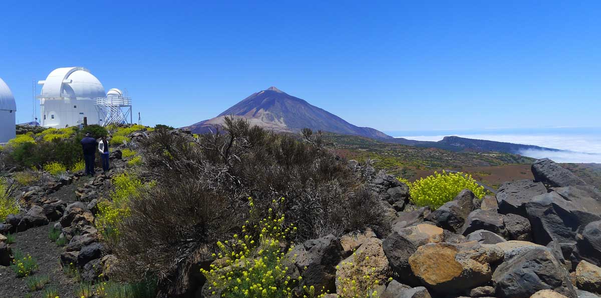 Teide Tour and Observatory