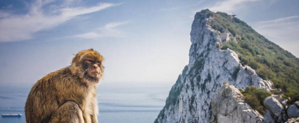 Torremolinos to Gibraltar Day Trip