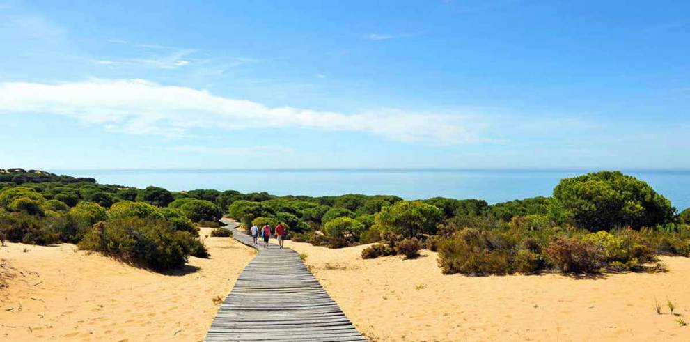 Doñana National Park Private Tour from Seville